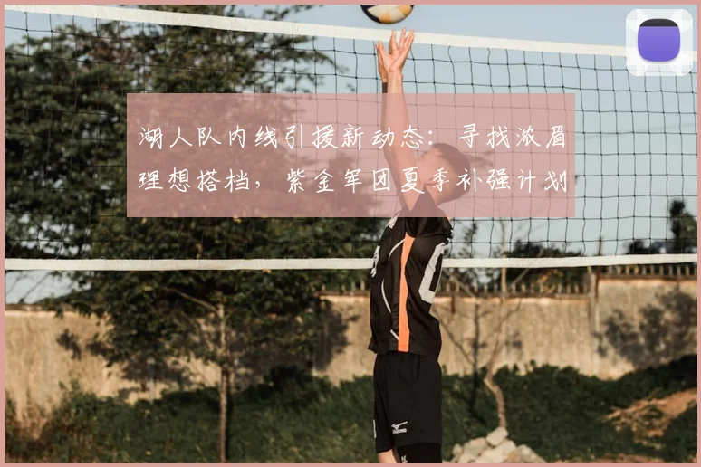 湖人队内线引援新动态：寻找浓眉理想搭档，紫金军团夏季补强计划深度分析