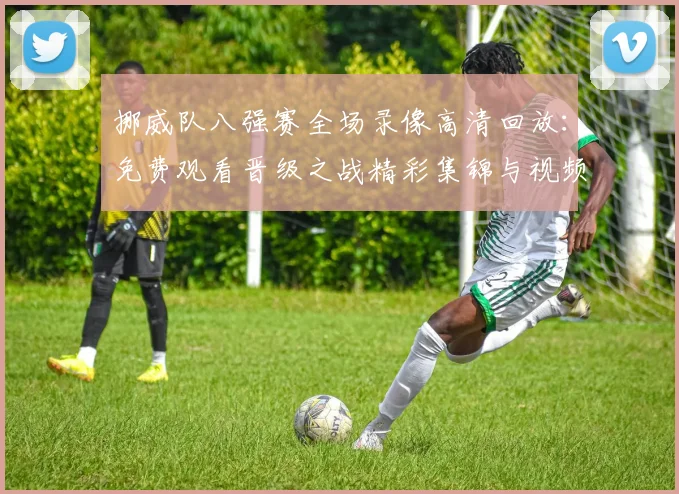 挪威队八强赛全场录像高清回放：免费观看晋级之战精彩集锦与视频回顾